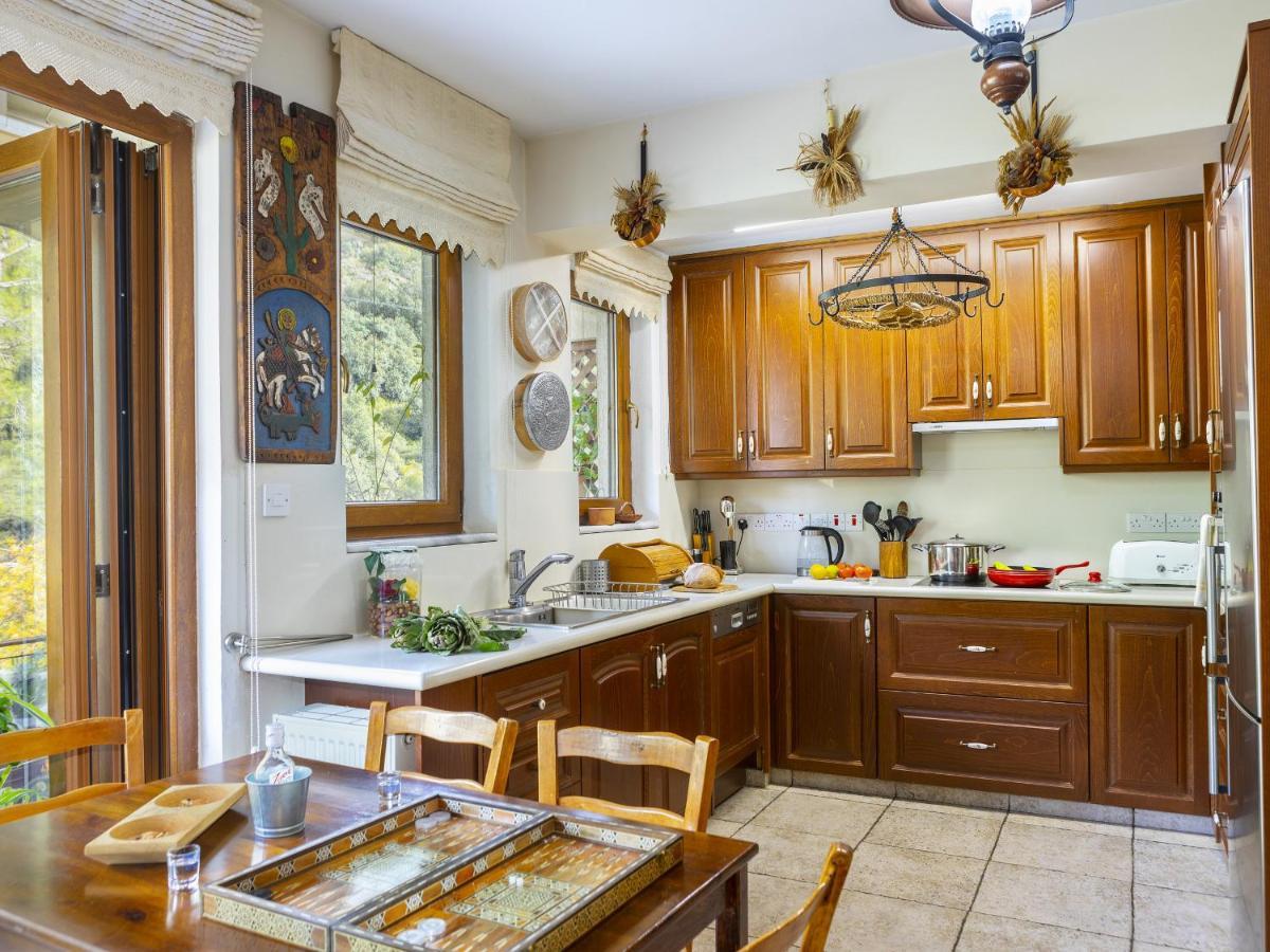 Kato Amiandos Troodos Riverside Cottage מראה חיצוני תמונה
